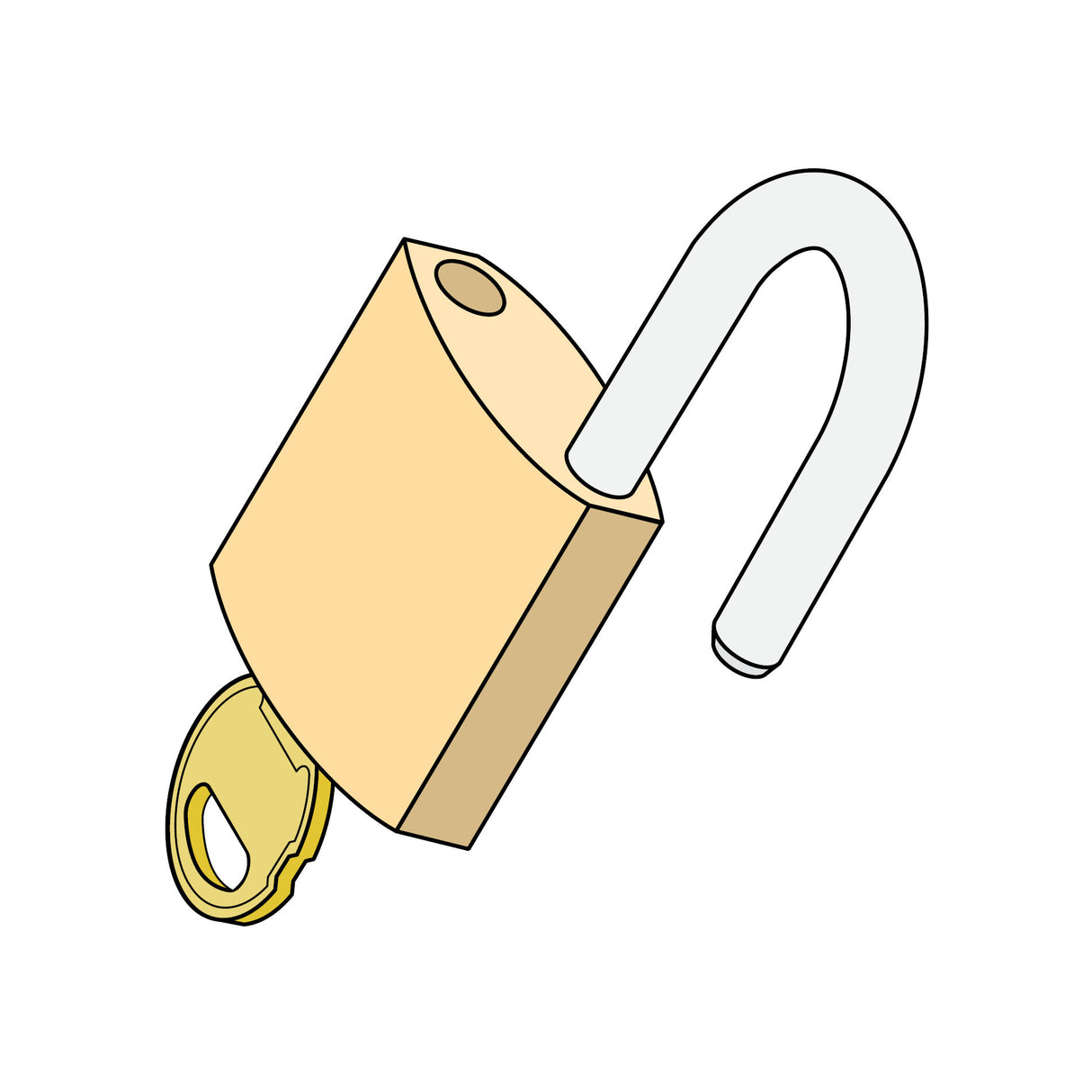 Doorking 2600-767 Padlock for Swing Gates Openers | theelitegateoffers.com