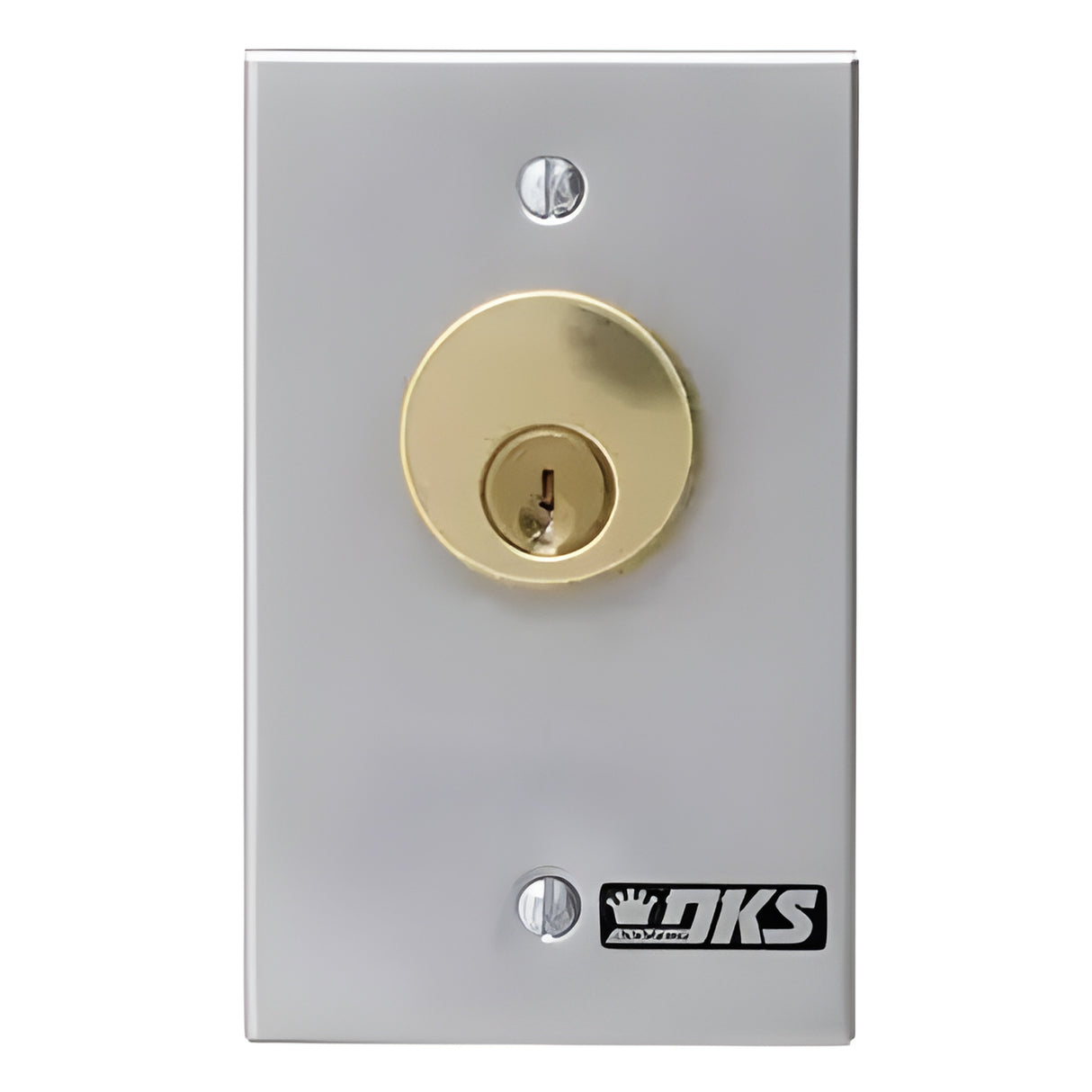 Interruptor de llave DoorKing 1206-080 para control de acceso de portones y puertas