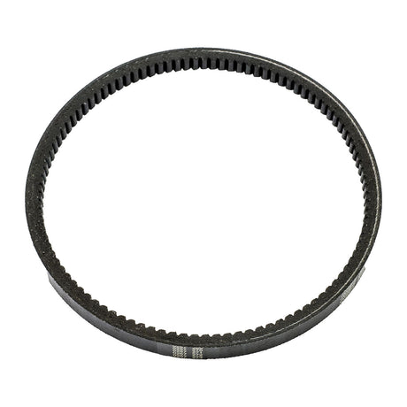 LiftMaster K16-4l230 Replacement Belt
