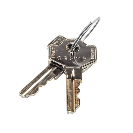 LiftMaster 41ASWG-0119 Manual Override Key