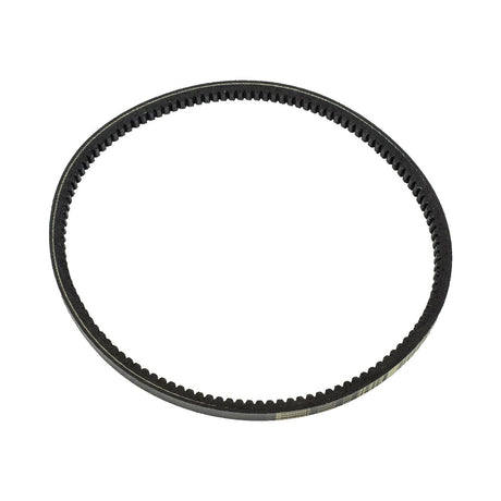 LiftMaster K16-50195 (Q175) V-Belt for CSW200 1HP Gate Operator | theelitegateoffers.com