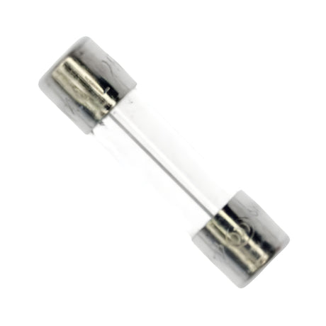 Viking VNXF4A Fuse 4 Amp for Gate Operators | theelitegateoffers.com